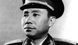 刘震最新爆料视频,事件背后惊人真相